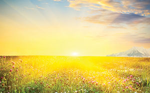 image of field and sky
