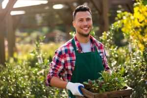 How Can Gardening Help Me Maintain My Sobriety?