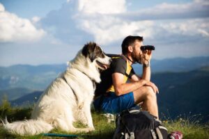 10-ways-make-the-most-nature-therapy-sc